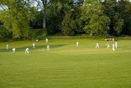 Totton and Eling Cricket Club 1091411 Image 2